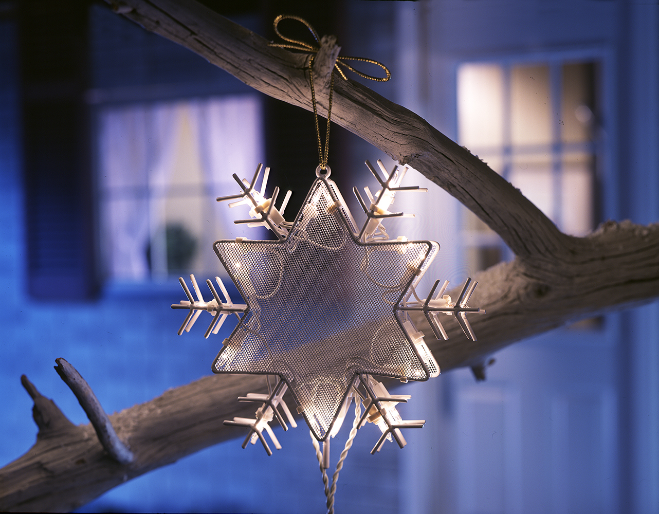 Snow flake light up display on tree branch in front of blue lit house front