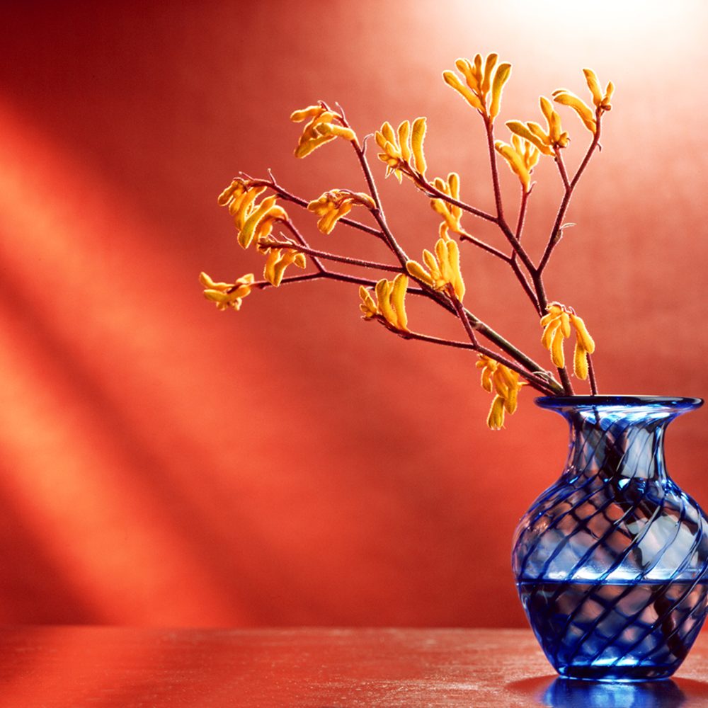 Blue vase holding yellow buds sitting on wood dresser top with orange slashes of light in background Product Photography